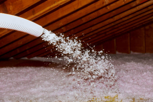 Best Spray Foam Insulation  in Olive Hill, KY