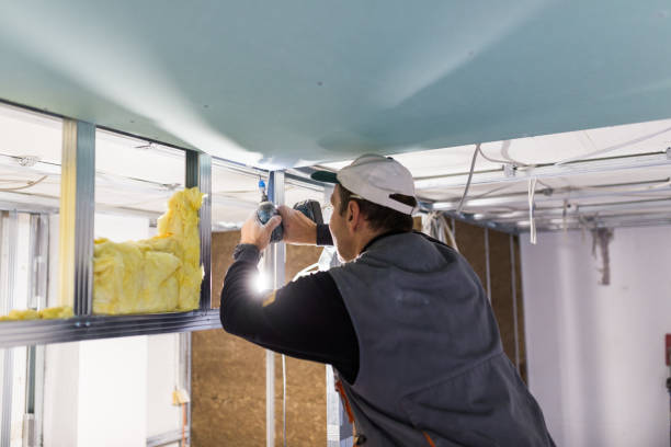 Insulation Repair Services in Olive Hill, KY