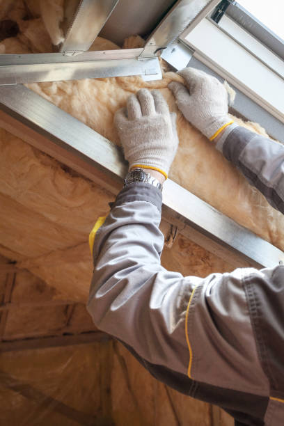Best Soundproof Insulation Installation  in Olive Hill, KY