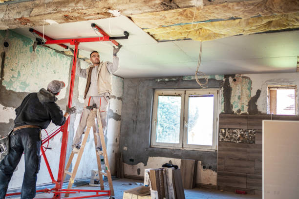 Best Insulation Removal Services  in Olive Hill, KY