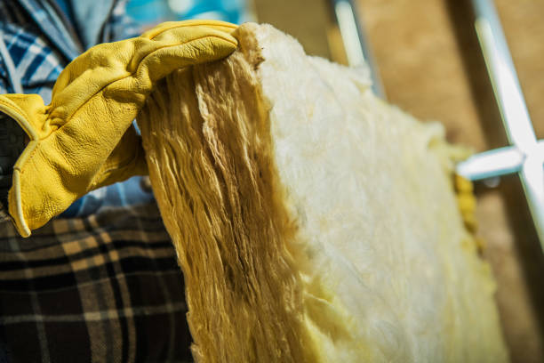 Best Wall Insulation Contractor  in Olive Hill, KY