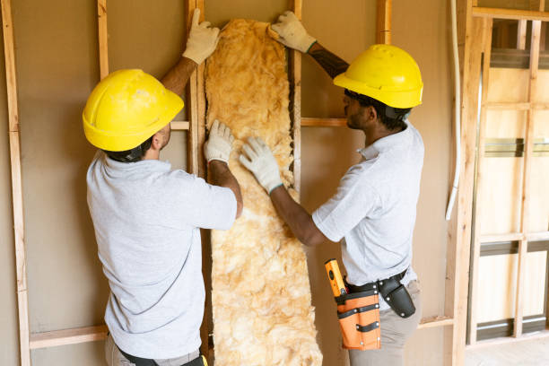Best Crawl Space Insulation  in Olive Hill, KY