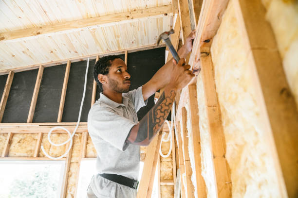Best Home Insulation Services  in Olive Hill, KY