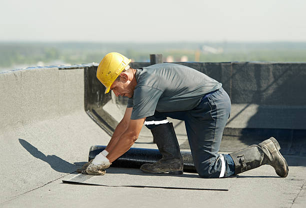 Best Insulation Removal  in Olive Hill, KY