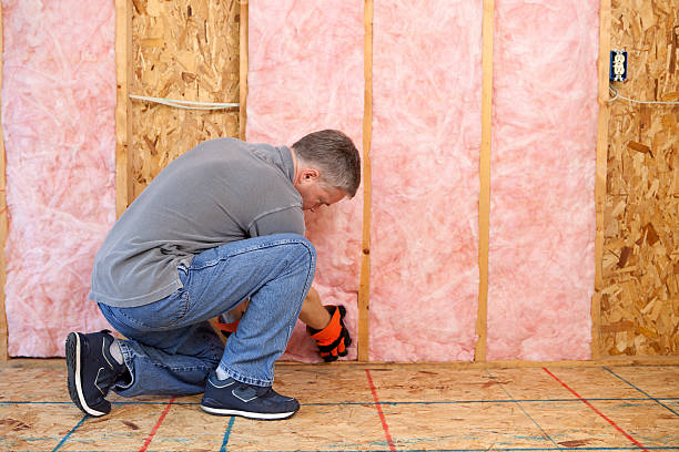 Best Insulation Contractor Near Me  in Olive Hill, KY