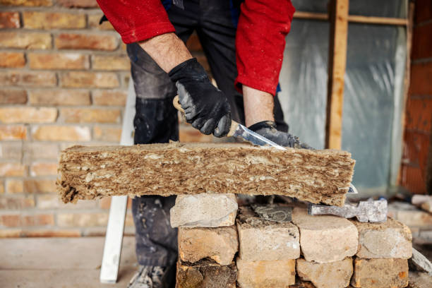 Best Local Insulation Services  in Olive Hill, KY